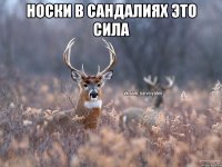 Носки в сандалиях это сила 