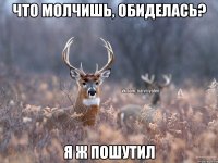 что молчишь, обиделась? я ж пошутил