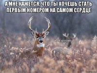 а мне кажется, что ты хочешь стать первым номером на самом сердце 