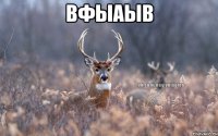 вфыаыв 