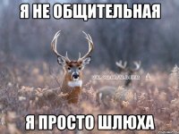 Я не общительная Я просто шлюха