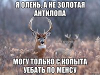 Я олень, а не золотая антилопа Могу только с копыта уебать по менсу