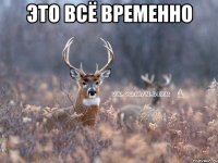 это всё временно 