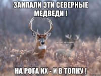 Заипали эти северные медведи ! На рога их - и в топку !