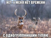 Нет, у меня нет времени С одногруппниками гуляю