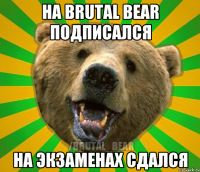 НА BRUTAL BEAR ПОДПИСАЛСЯ НА ЭКЗАМЕНАХ СДАЛСЯ