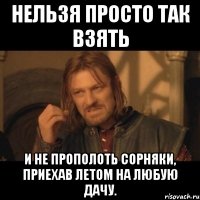 нельзя просто так взять и не прополоть сорняки, приехав летом на любую дачу.