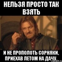 нельзя просто так взять и не прополоть сорняки, приехав летом на дачу.