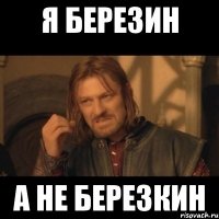 я березин а не березкин