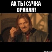 ах ты сучка сраная! 