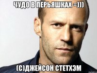 чудо в перьяшках =))) (С)ДЖЕЙСОН СТЕТХЭМ