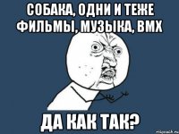 Собака, одни и теже фильмы, музыка, bmx Да как так?