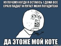 ну почему когда я остаюсь 1 дома всё сразу падает и пугает меня погадитека да этоже мой коте