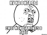 Ну нафига ты сжог мои Diamond's в лаве