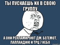 Ты пускаешь их в свою группу а они рекламируют ДМ, Бегемот, Лапландию и ТРЦ 7 небо