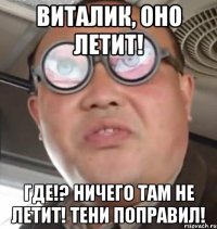 Виталик, оно летит! Где!? Ничего там не летит! Тени поправил!