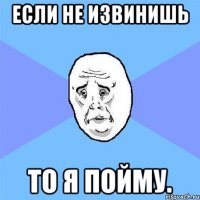 если не извинишь то я пойму.