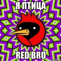 я птица Red Bro