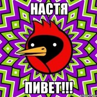 Настя Пивет!!!