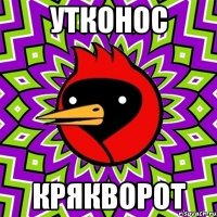 утконос крякворот