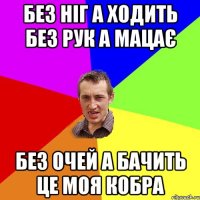 БЕЗ НІГ А ХОДИТЬ БЕЗ РУК А МАЦАЄ БЕЗ ОЧЕЙ А БАЧИТЬ ЦЕ МОЯ КОБРА