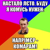 НАСТАЛО ЛЄТО. БУДУ Я КОМУСЬ НУЖЕН: НАПРІМЄР - КОМАРАМ!