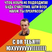 Чтоб кобра не подводила! Будь счастлив, шли всех нахуй, ты прекрасен! С DR тебя!!! ЮХУУУУУУУ))))))))