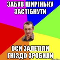 забув ширіньку застібнути оси залетіли гніздо зробили