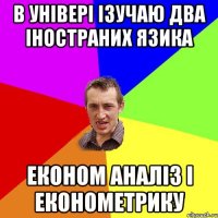 В універі ізучаю два іностраних язика економ аналіз і економетрику