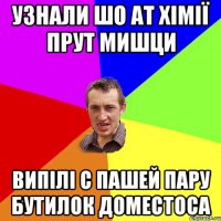 Узнали шо ат хімії прут мишци Випілі с Пашей пару бутилок Доместоса