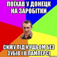 поїхав у донецк на заробітки сижу під кущьом без зубів і в памперсі