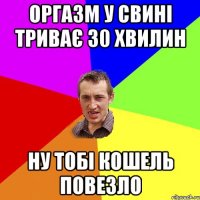 ОРГАЗМ У СВИНІ ТРИВАЄ 30 ХВИЛИН НУ ТОБІ КОШЕЛЬ ПОВЕЗЛО