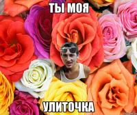 Ты моя улиточка