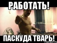 Работать! Паскуда Тварь!