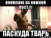 ВНИМАНИЕ НА НИЖНИЙ ПОСТ !!! ПАСКУДА ТВАРЬ