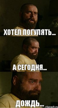 хотел погулять... а сегодня... дождь...