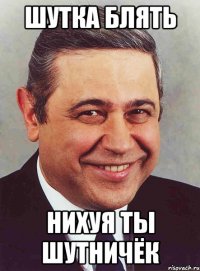 шутка блять нихуя ты шутничёк