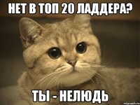 нет в топ 20 ладдера? ты - нелюдь