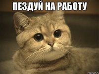 пездуй на работу 