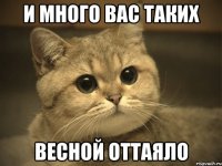 и много вас таких весной оттаяло