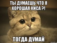 ты думаешь что я хорошая киса ?! тогда думай