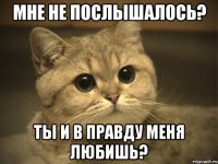 Мне не послышалось? Ты и в правду меня любишь?