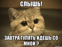 слышь! завтра гулять идешь со мной ?