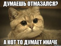 думаешь отмазался? а кот то думает иначе