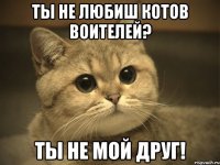 ты не любиш котов воителей? ты не мой друг!