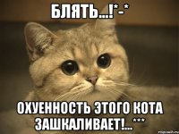 Блять...!*-* Охуенность этого кота зашкаливает!...***