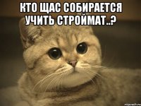 кто щас собирается учить строймат..? 