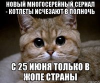 НОВЫЙ МНОГОСЕРЕЙНЫЙ СЕРИАЛ - КОТЛЕТЫ ИСЧЕЗАЮТ В ПОЛНОЧЬ С 25 ИЮНЯ ТОЛЬКО В ЖОПЕ СТРАНЫ