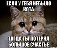 если у тебя небыло кота тогда ты потерял большое счастье