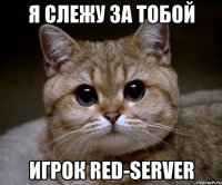Я слежу за тобой Игрок Red-Server